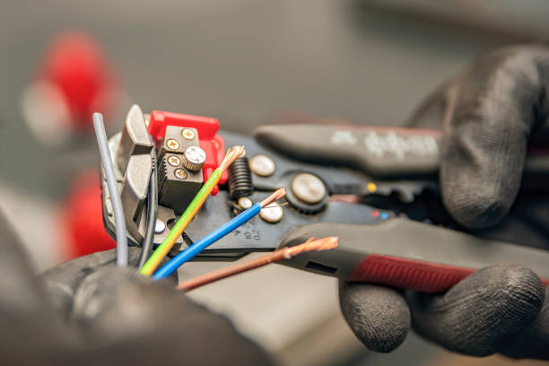Best Licensed Electrician  in Marlinton, WV