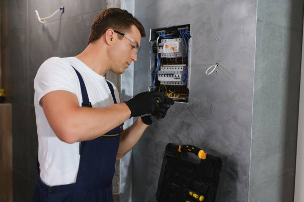 Best Local Electrician Companies  in Marlinton, WV